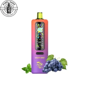 Tugboat 40000 Puffs Grape Mint Pod - پادیکبار مصرف تاگبوت 40000 پاف انگور نعنا (قابل شارژ)