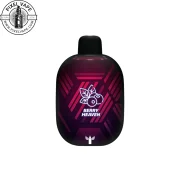 Dr.Vapes 10000 Puffs Berry Heaven Pod - پاد یکبار مصرف دکتر ویپز 10000 پاف توت بهشتی (قابل شارژ)